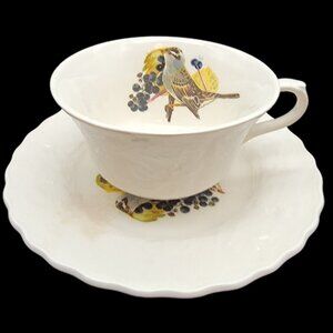 Vintage ALFRED MEAKIN England BIRDS OF AMERICA saucer and tea cup 8B
